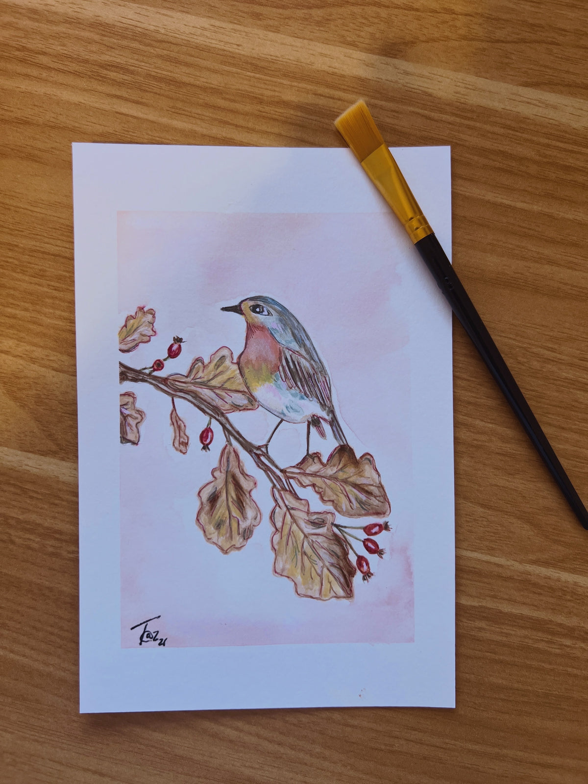The Hedgerow Robin