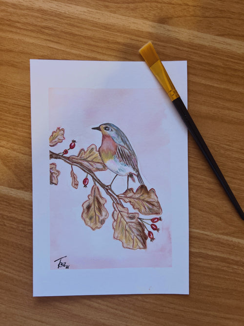 The Hedgerow Robin