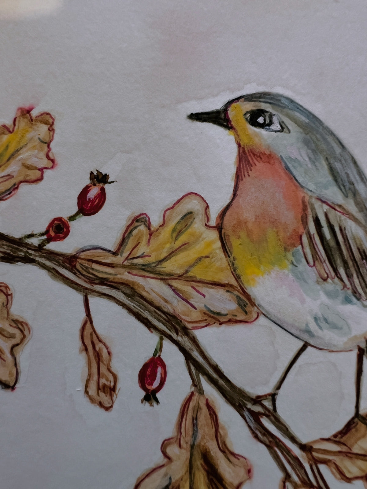 The Hedgerow Robin
